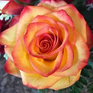 Meet your Posher, Staci